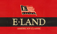 E—LAND集团
